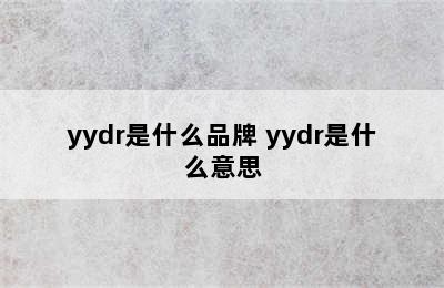 yydr是什么品牌 yydr是什么意思